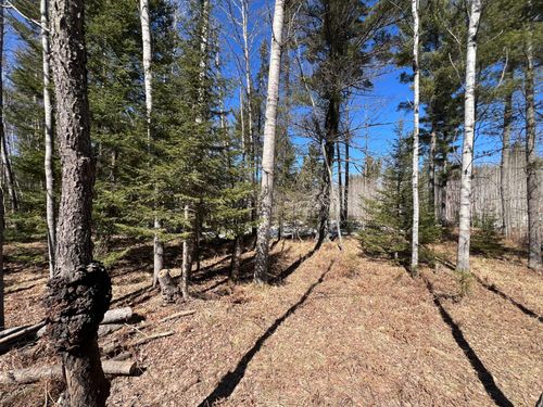 TBD County Road 424, Crystal Falls, MI, 49920 | Card Image