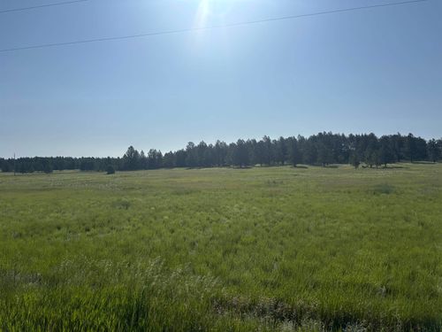 Lot 13 Harriett Ward Road, Custer, SD, 57730 | Card Image
