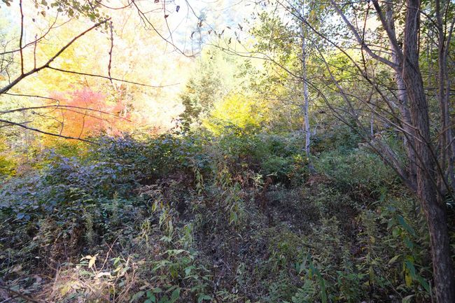 0 Ellison Loop, Home with 0 bedrooms, 0 bathrooms and null parking in Ludlow VT | Image 7