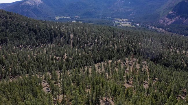 31760 Old Highway 10 W, Home with 0 bedrooms, 0 bathrooms and null parking in Alberton MT | Image 49