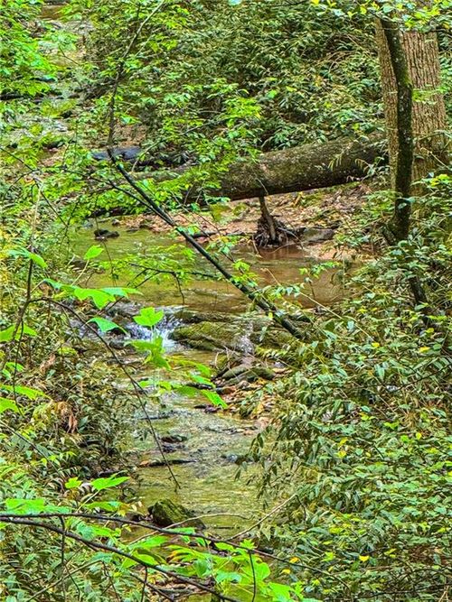 00 Cavender Creek Rd, Dahlonega, GA, 30533 | Card Image