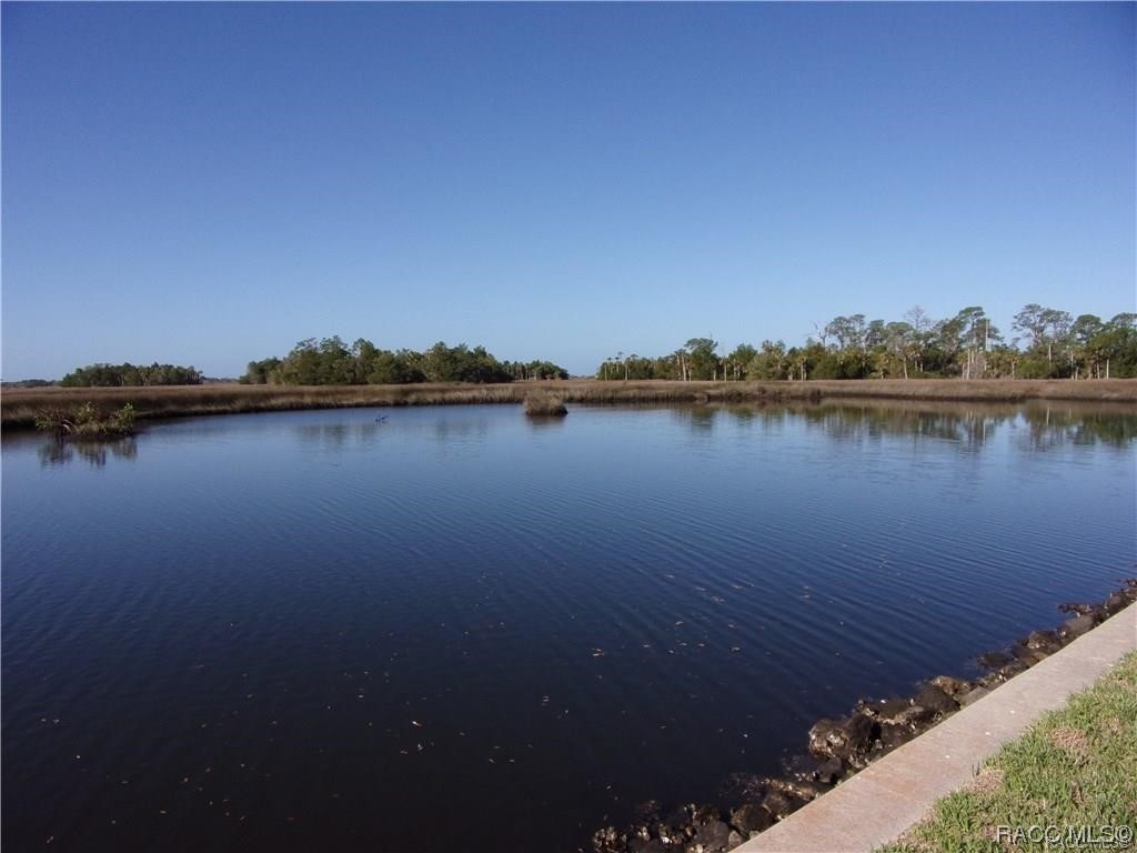 Bayshore Dr, Crystal River, FL 34429