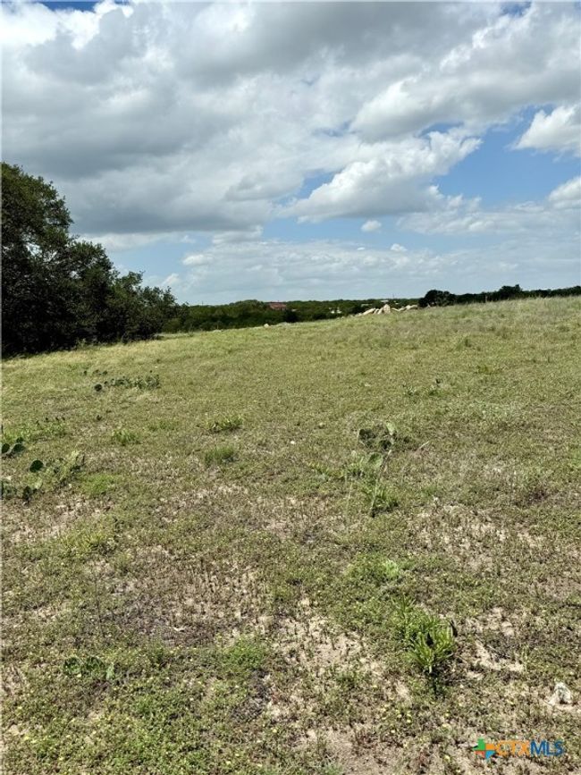 1149 Holden Loop, Home with 0 bedrooms, 0 bathrooms and null parking in Copperas Cove TX | Image 5