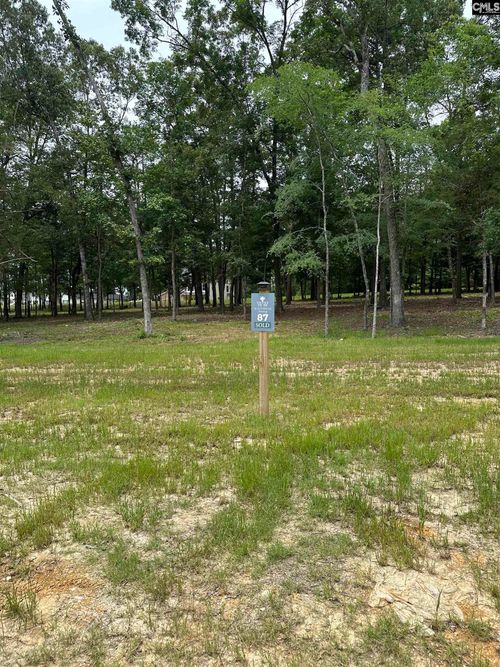 546 Misty Banks Drive, Chapin, SC, 29036 | Card Image