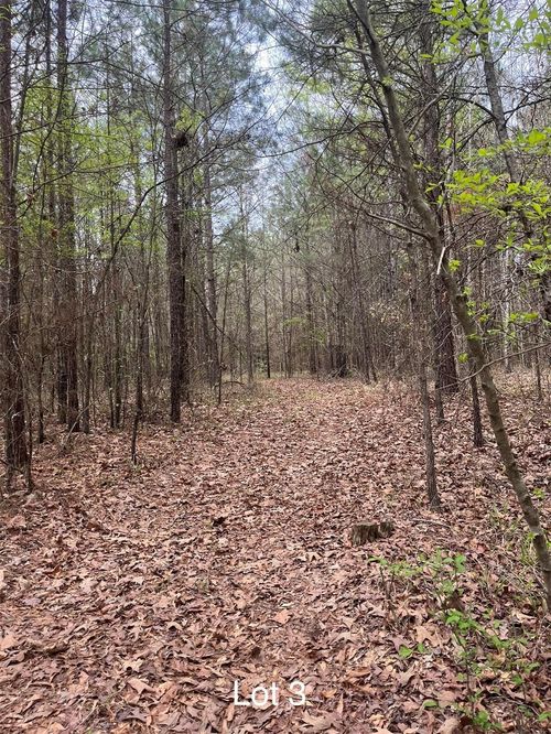 3-0 Crouch Rd, Benton, LA, 71006 | Card Image