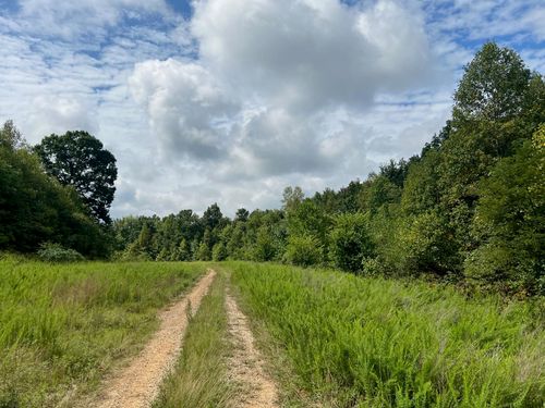  Tunnel Ridge, Argillite, KY, 41121 | Card Image