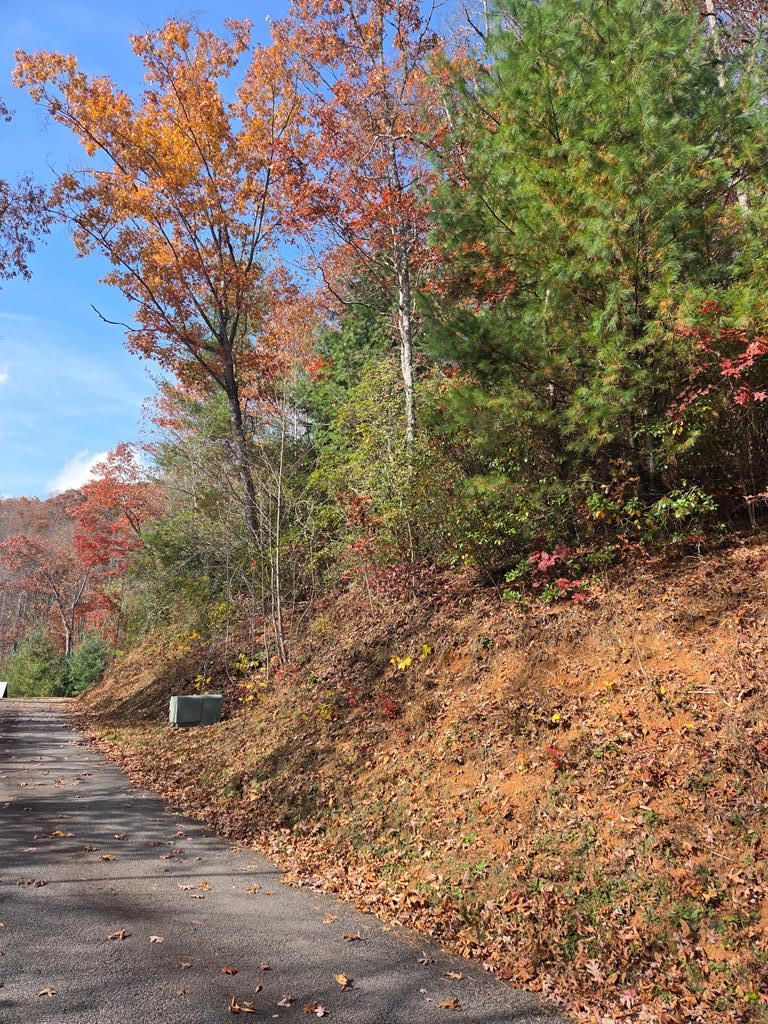 Land in Franklin 3
