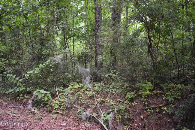 44 River Rd, Home with 0 bedrooms, 0 bathrooms and null parking in Blounts Creek NC | Image 8