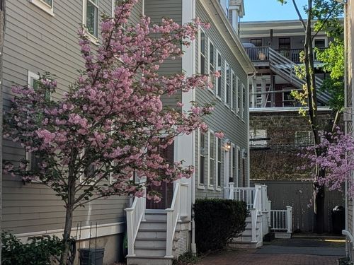 unit-3-26 White Pl, Brookline, MA, 02445-8007 | Card Image