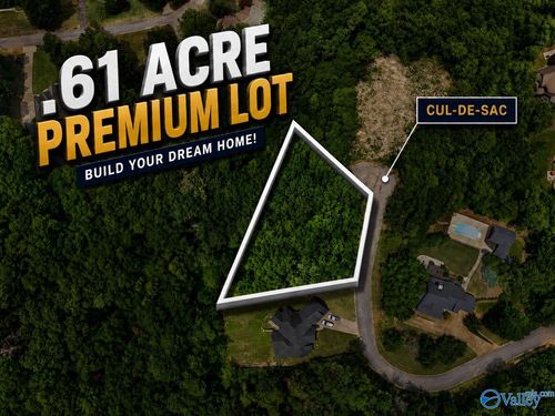 255 Shady Hollow Trl, Glencoe, AL, 35905-9602 | Card Image