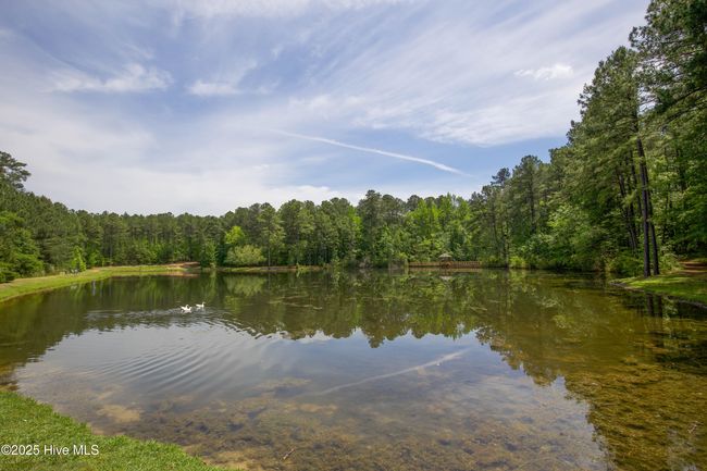 1471 Micahs Way N, House other with 3 bedrooms, 3 bathrooms and 2 parking in Spring Lake NC | Image 74