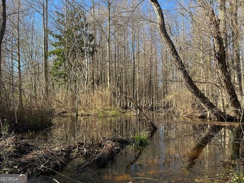 011 Mount Zion Rd, GORDON, AL, 36343 | Card Image