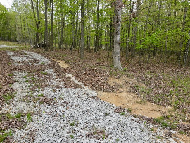 0 Deerwood Dr, Home with 0 bedrooms, 0 bathrooms and null parking in Sewanee TN | Image 30