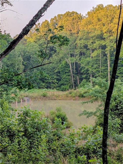 00 Johnson Creek Rd, Ararat, VA, 24053 | Card Image