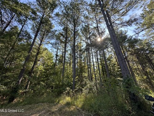  Firetower Road Road, Camden, MS, 39045 | Card Image