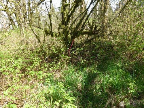 16020 Bel Red Rd, Bellevue, WA, 98008 | Card Image