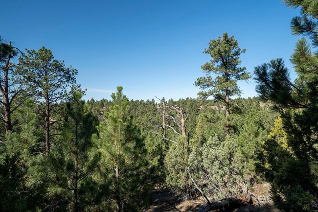 Lot 4 Sunset Ridge Road, Home with 0 bedrooms, 0 bathrooms and null parking in Newcastle WY | Image 24