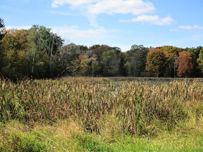 Larger Pond In Front | Image 22