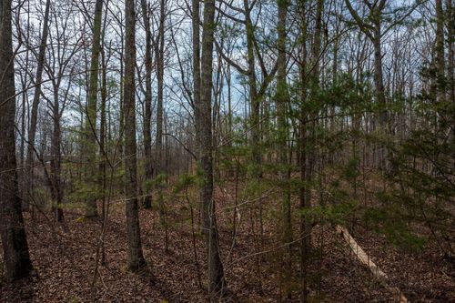 0 Paint Rock Valley Rd, Philadelphia, TN, 37846 | Card Image