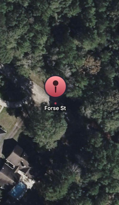TBD Forse Dr, Woodville, TX, 75979 | Card Image