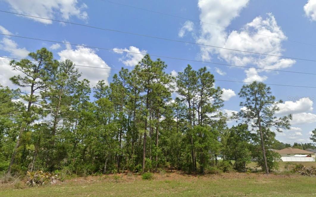 Land in OCALA 2