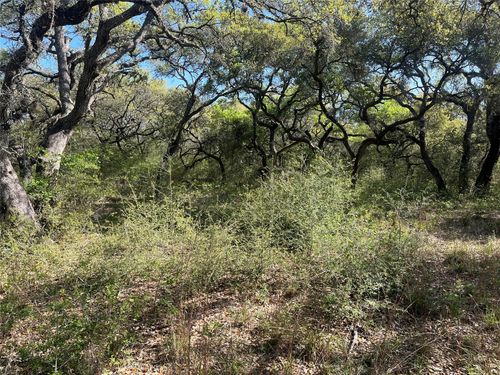 00 County Road 120, Hallettsville, TX, 77964 | Card Image