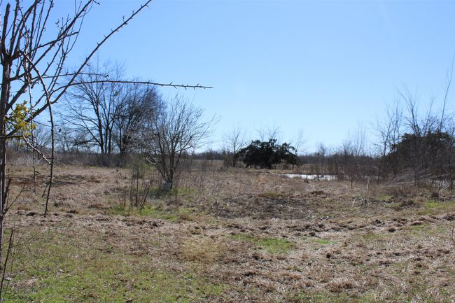 8738 Us Highway 67, Home with 0 bedrooms, 0 bathrooms and null parking in Saltillo TX | Image 7
