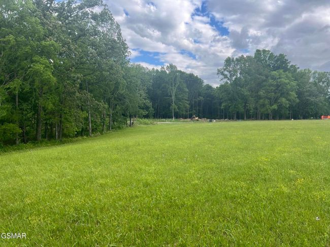 2526 Sunset Blvd, Home with 0 bedrooms, 0 bathrooms and null parking in White Pine TN | Image 12
