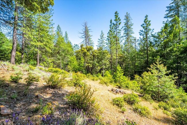 7250 Mount Oak Ln, House other with 2 bedrooms, 2 bathrooms and null parking in Georgetown CA | Image 74