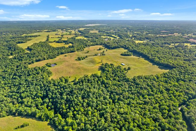 0 Happy Hills Acre Rd, Home with 0 bedrooms, 0 bathrooms and null parking in Woodlawn TN | Image 29