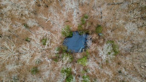 000 County Road 302, Alton, MO, 65606 | Card Image