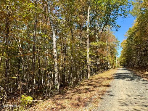 0 Potter Road Ext, Charlemont, MA, 01339 | Card Image