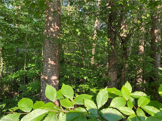 0 Scenic Dr, Home with 0 bedrooms, 0 bathrooms and null parking in King NC | Image 6