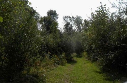 VL Genesee Road Parcel A, Elba Township, MI, 48446 | Card Image