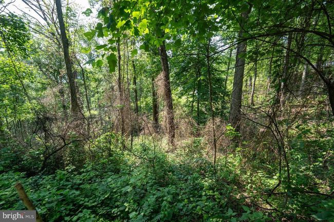0 Hidden Rd, Home with 0 bedrooms, 0 bathrooms and null parking in LURAY VA | Image 30
