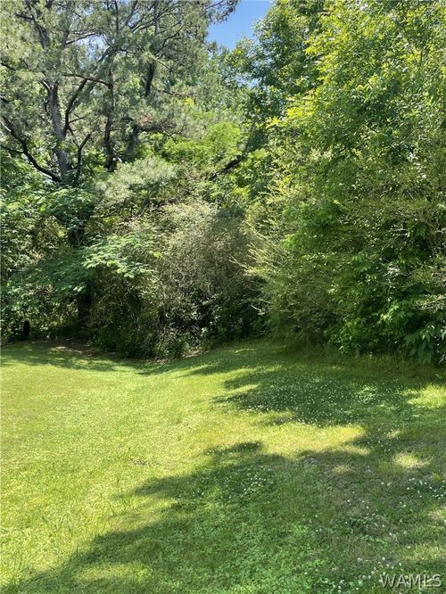 00 Rock Castle Lane, Vance, AL, 35490 | Card Image