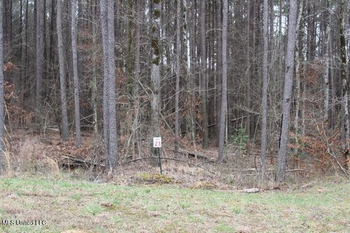 13319 Ella Ln, Byhalia, MS, 38611 | Card Image