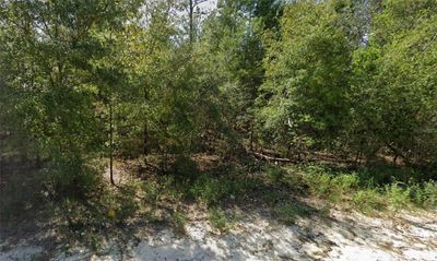 Lot 85 Ne 83 Rd Place, Home with 0 bedrooms, 0 bathrooms and null parking in Bronson FL | Image 1