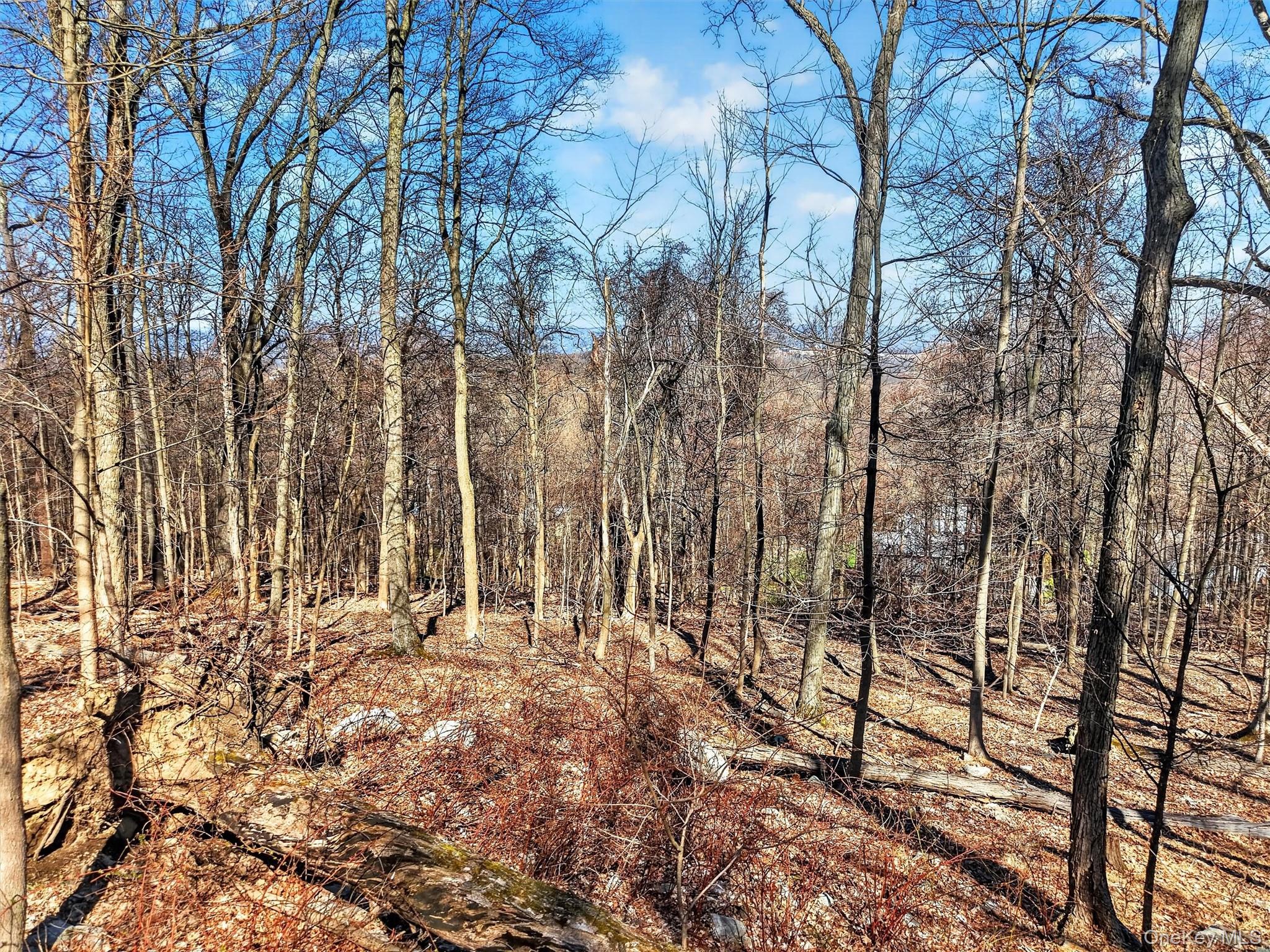 Land in Beacon 3