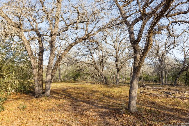 343 Batey Rd, Home with 3 bedrooms, 2 bathrooms and null parking in Nixon TX | Image 35