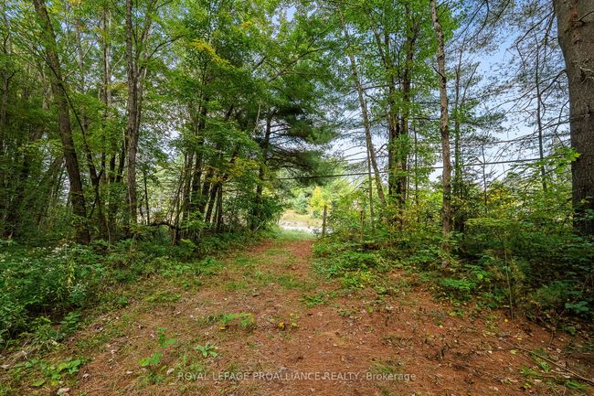 00 Highway 41, Home with 0 bedrooms, 0 bathrooms and null parking in Kaladar ON | Image 4