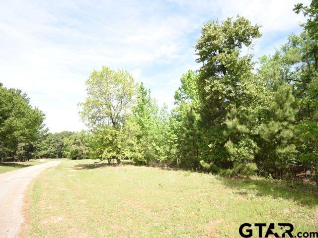 Land in Montalba