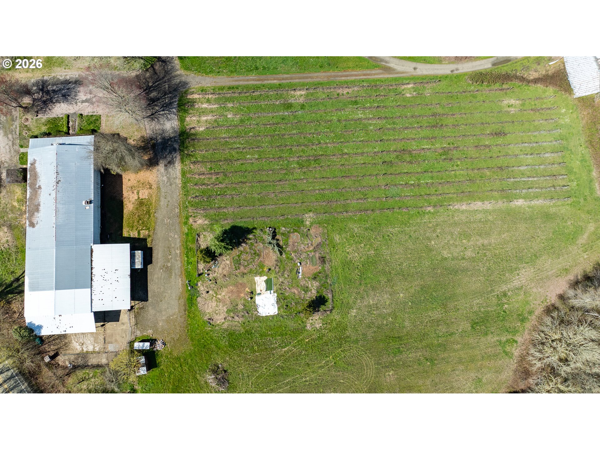 Land in Umpqua 4