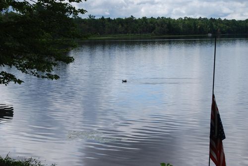 1487 Gunlock Shores Ln, Minocqua, WI, 54548-9658 | Card Image