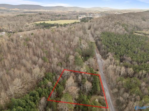 1 Acre N George Adams Rd, Scottsboro, AL, 35768 | Card Image