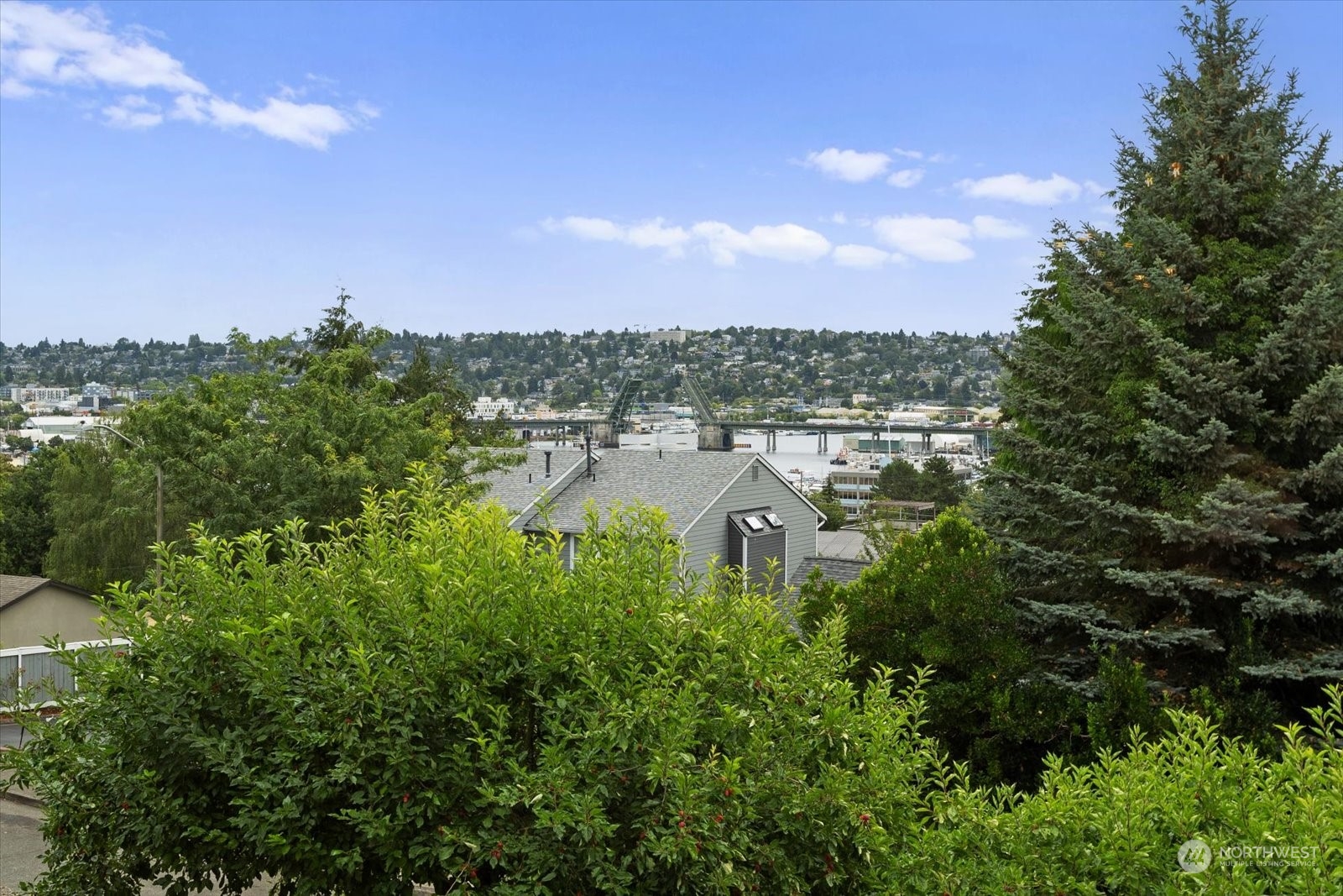 25th Ave, Seattle, WA 98199