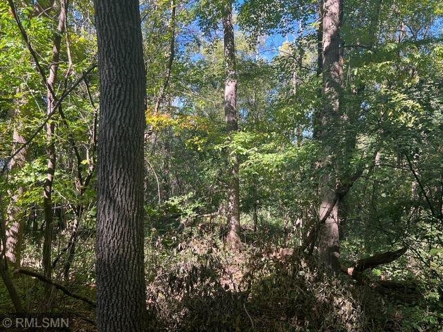 Virgo St, North Branch, MN 55056