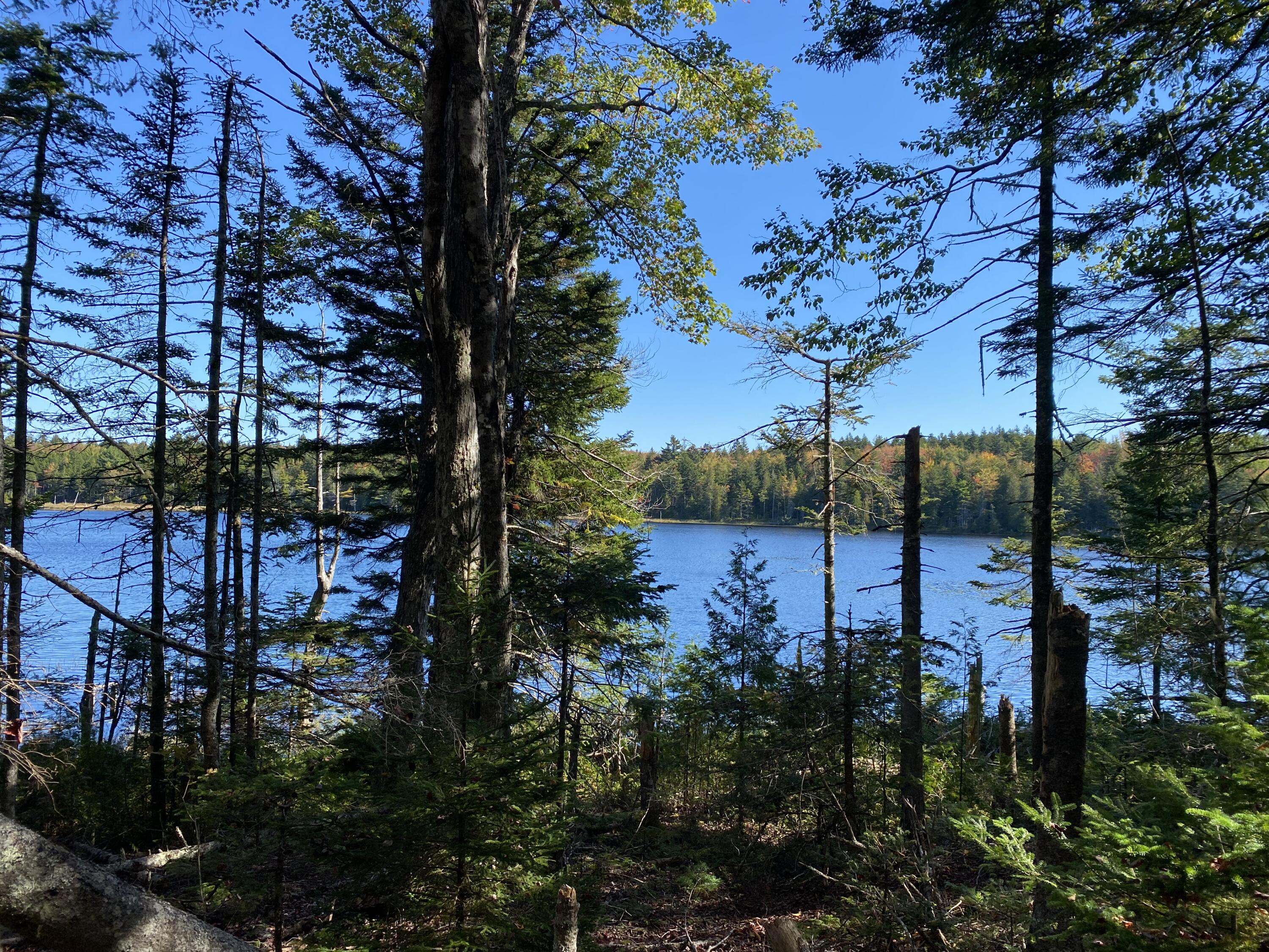 Gouldsboro Rd, Gouldsboro, ME 04607