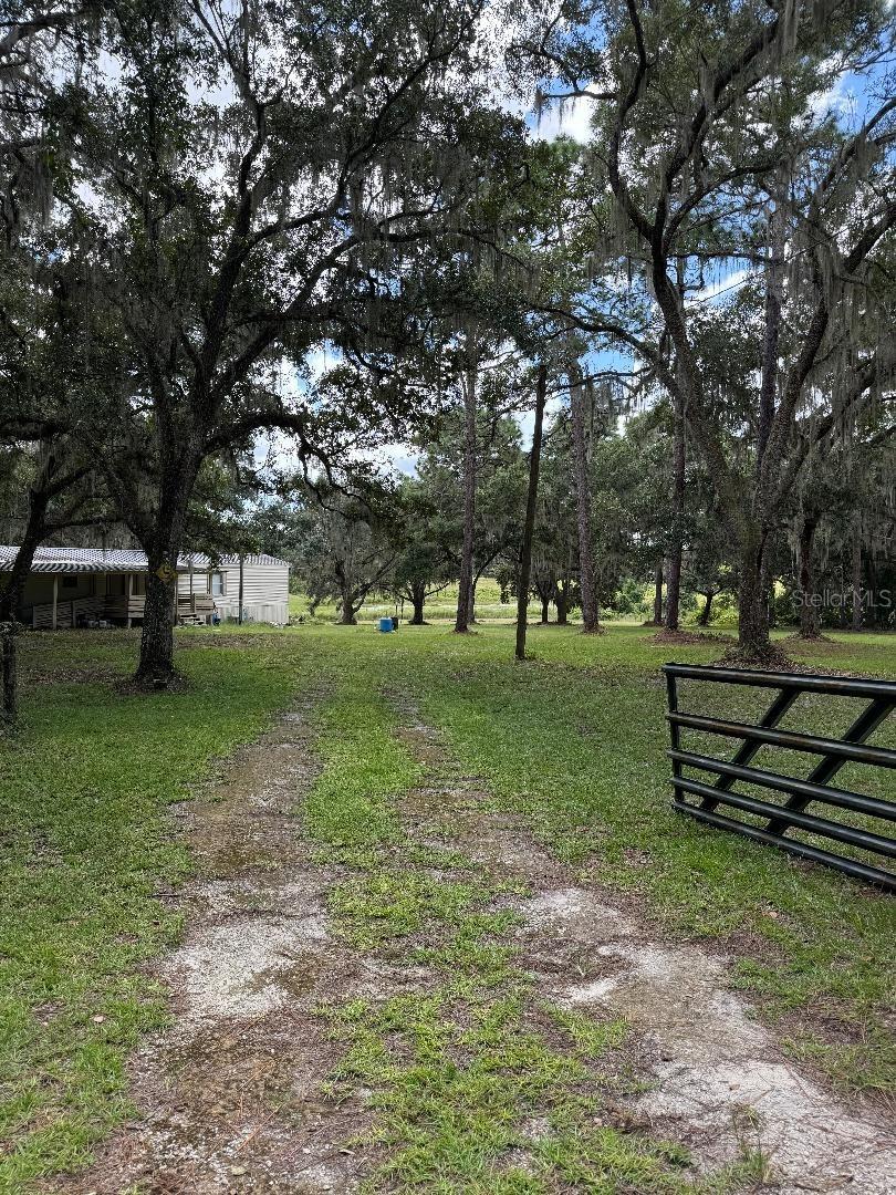 156th Place Rd, Weirsdale, FL 32195