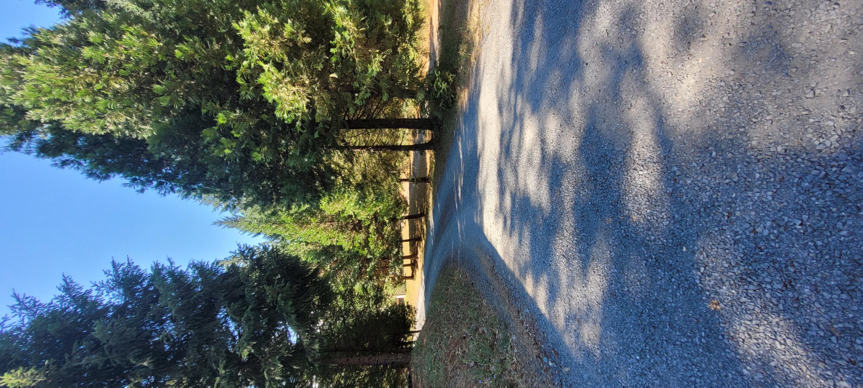 Crooks Creek Rd, Selma, OR 97538